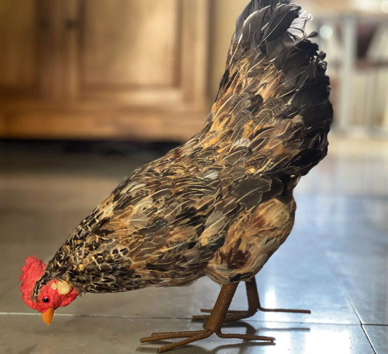 Papier Maché French Hen with real feathers 1980s – The French Antique Store