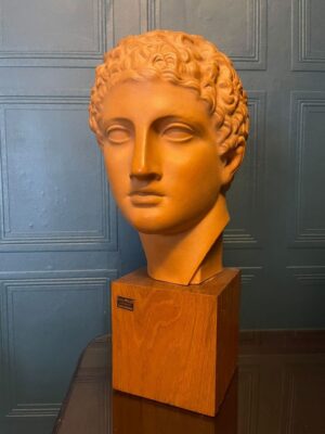 Terracotta bust adonis timber base 1920s