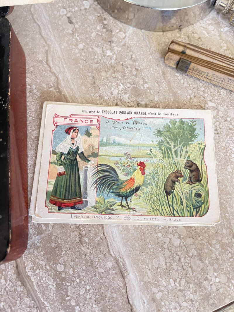 Chocolat Poulain Collectors Cards 18