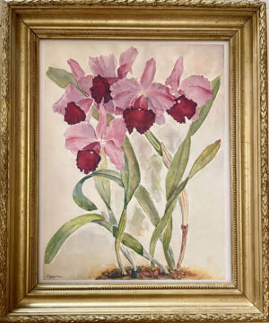 Lemoine Orchid Watercolours Limited Edition Prints 1990 IMG_1148 The French Antique Store